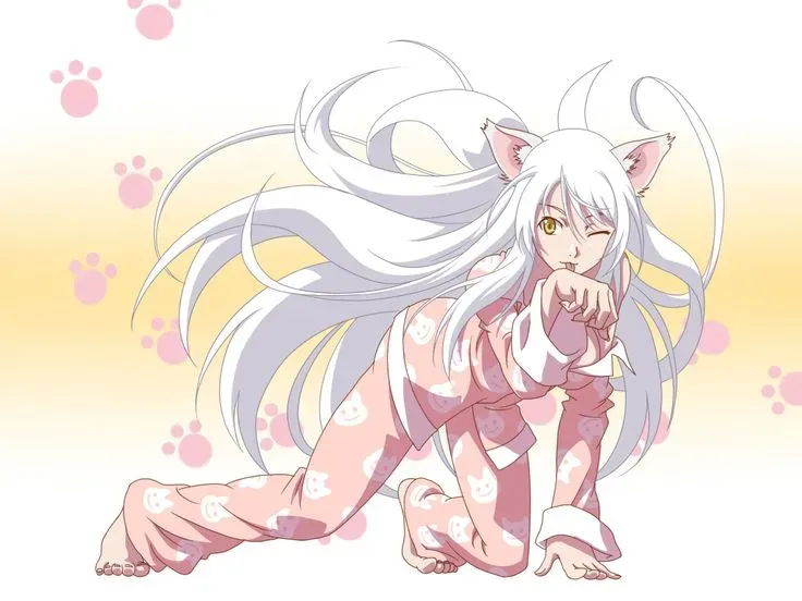 Tsubasa Hanekawa 17