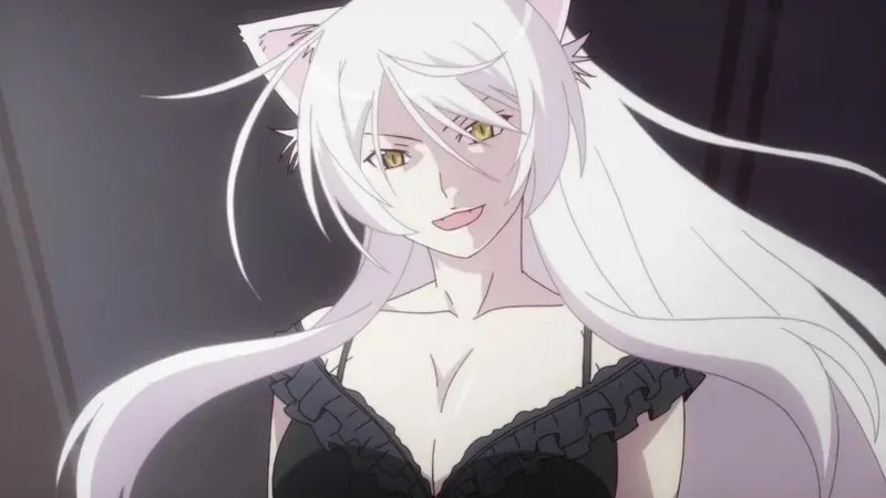 Tsubasa Hanekawa 21