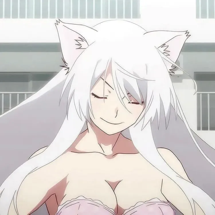 Tsubasa Hanekawa 24