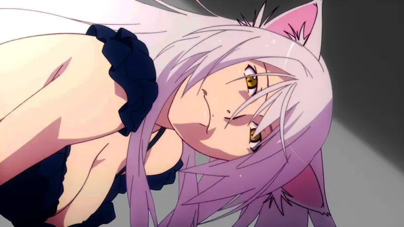 Tsubasa Hanekawa 25