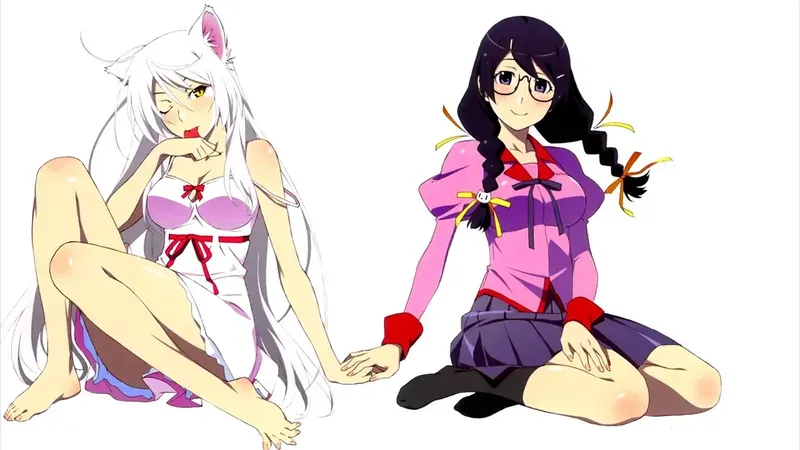 Tsubasa Hanekawa 28
