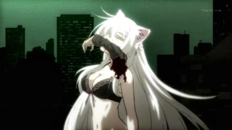 Tsubasa Hanekawa 31