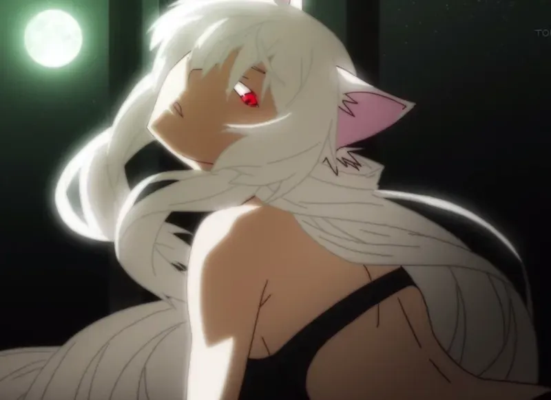 Tsubasa Hanekawa 37