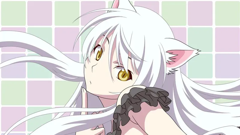 Tsubasa Hanekawa 40