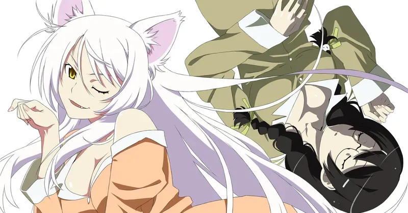 Tsubasa Hanekawa 41
