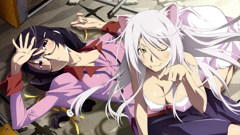 Tsubasa Hanekawa 44
