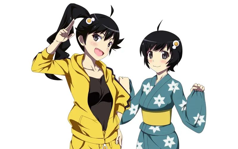 Tsukihi Araragi 14
