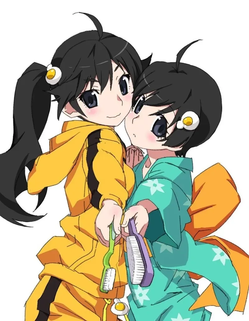 Tsukihi Araragi 18
