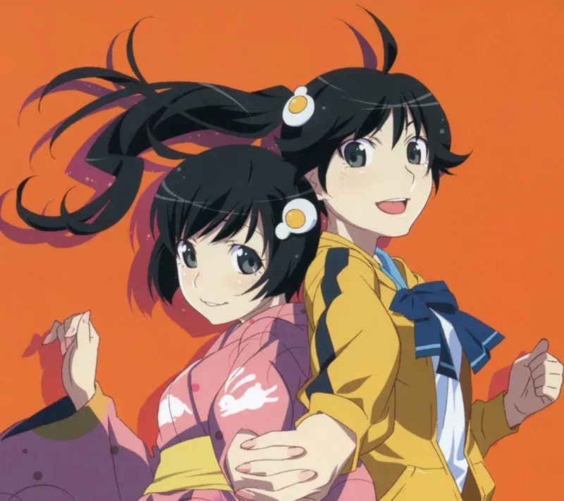 Tsukihi Araragi 22