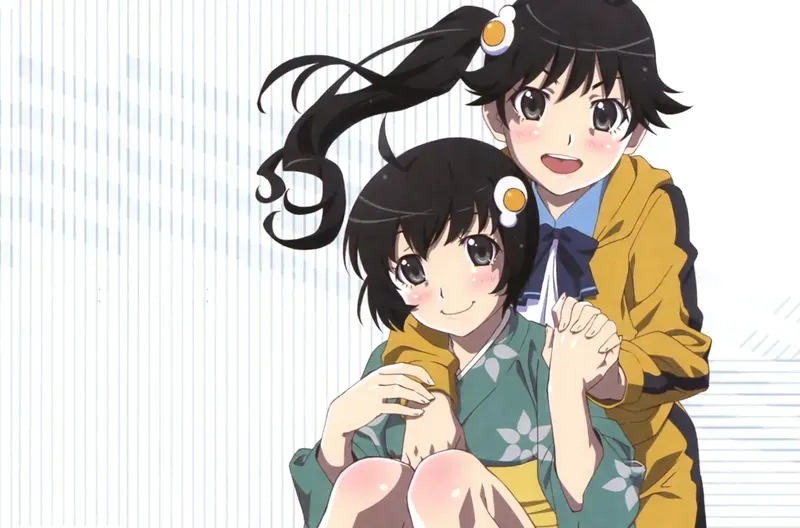 Tsukihi Araragi 25