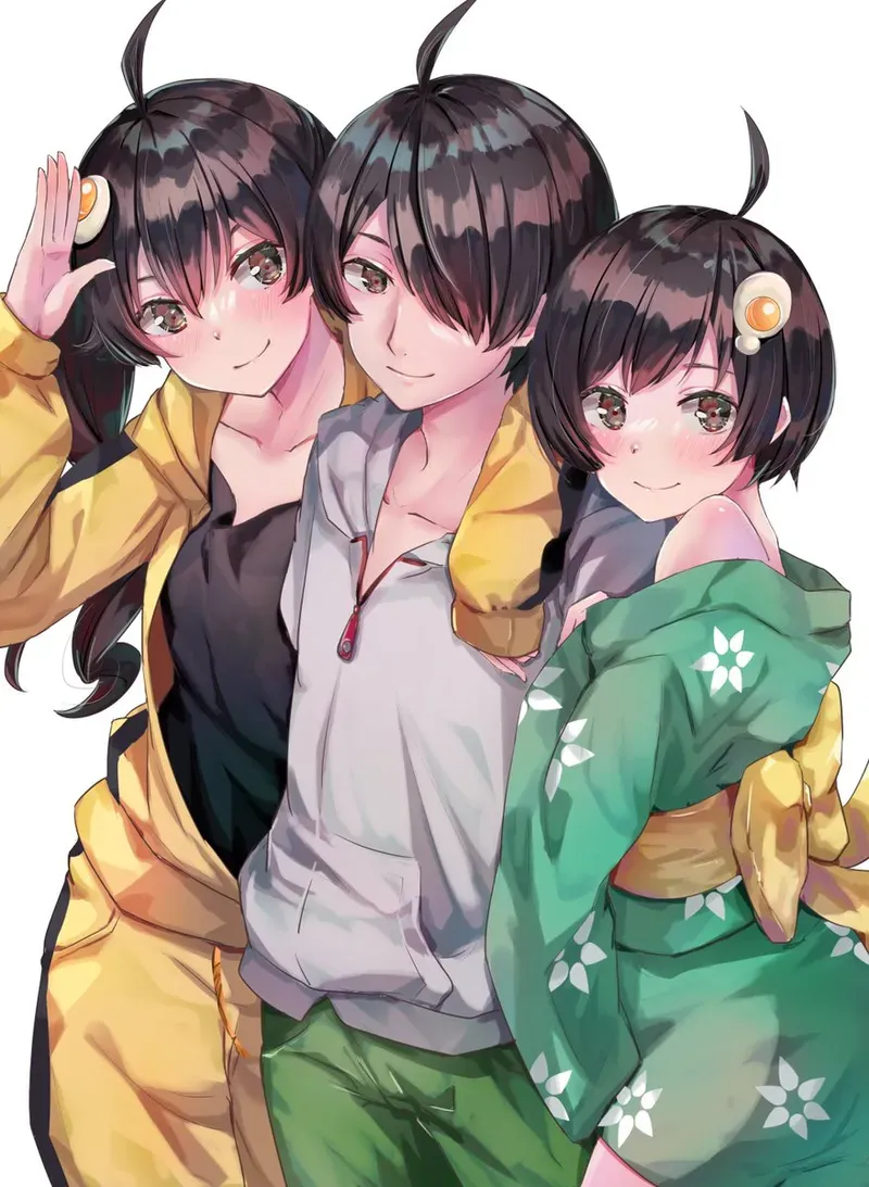Tsukihi Araragi 27