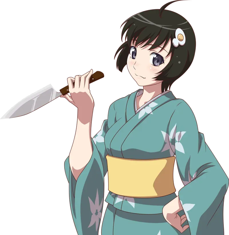Tsukihi Araragi 29