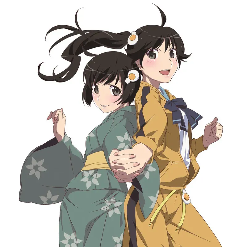 Tsukihi Araragi 31