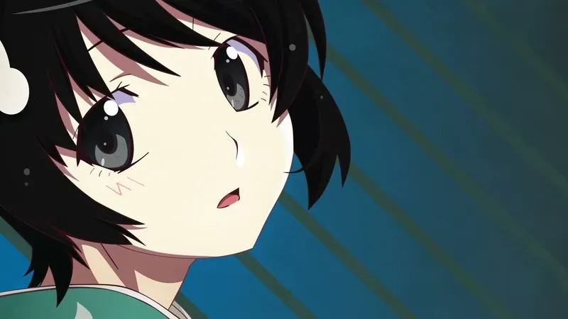 Tsukihi Araragi 36