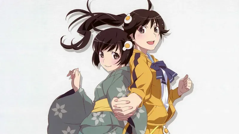 Tsukihi Araragi 38