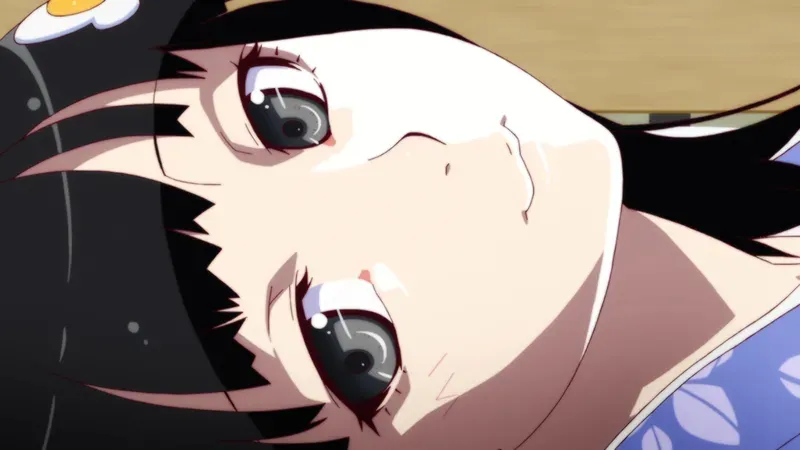 Tsukihi Araragi 40