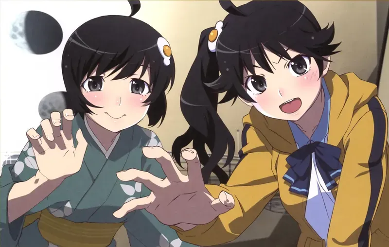 Tsukihi Araragi 45