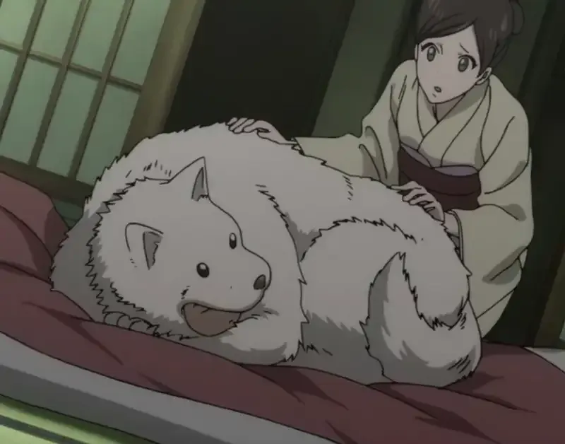 ảnh Watchdog Man 11