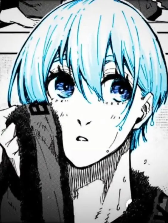Yasumori Hoichi 47