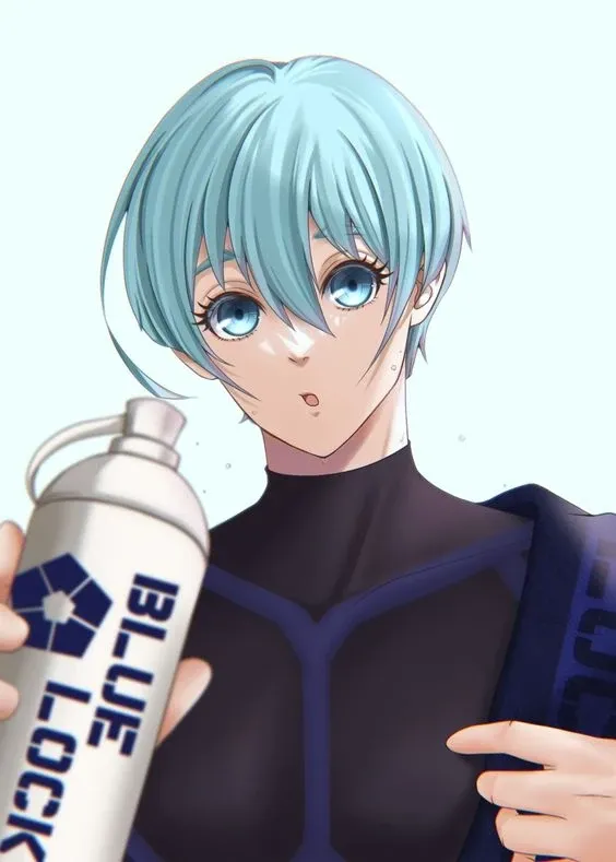 Yasumori Hoichi 48