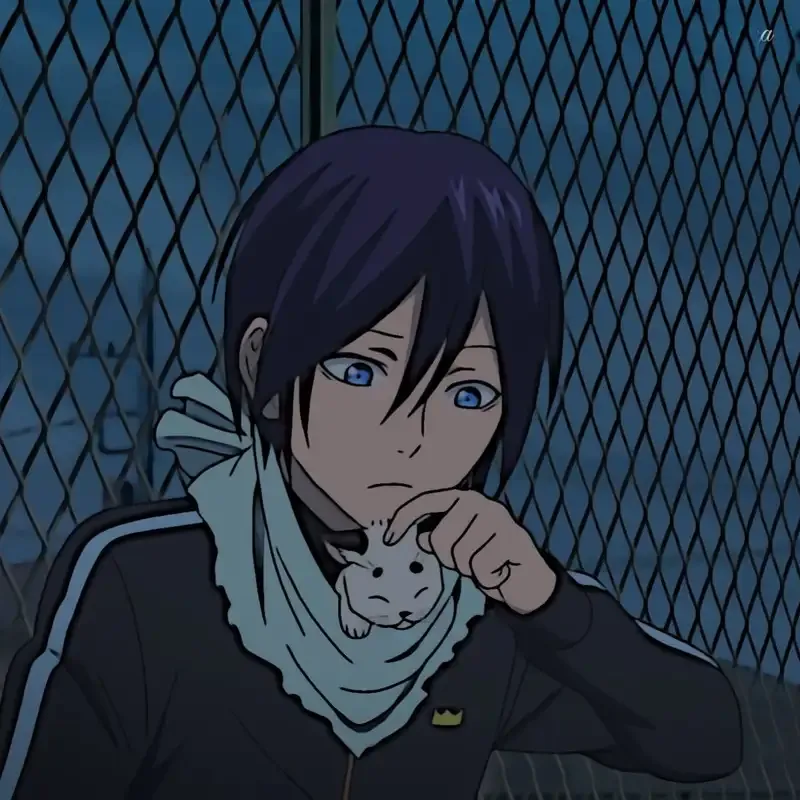 Ảnh Yato 23