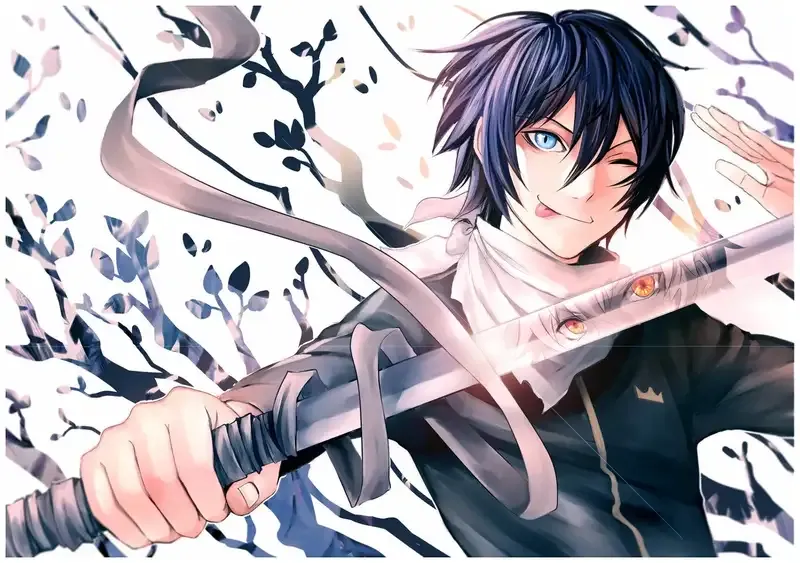 Ảnh Yato 48