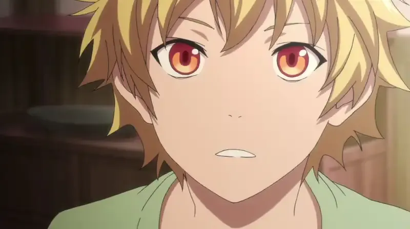 Ảnh Yukine 5