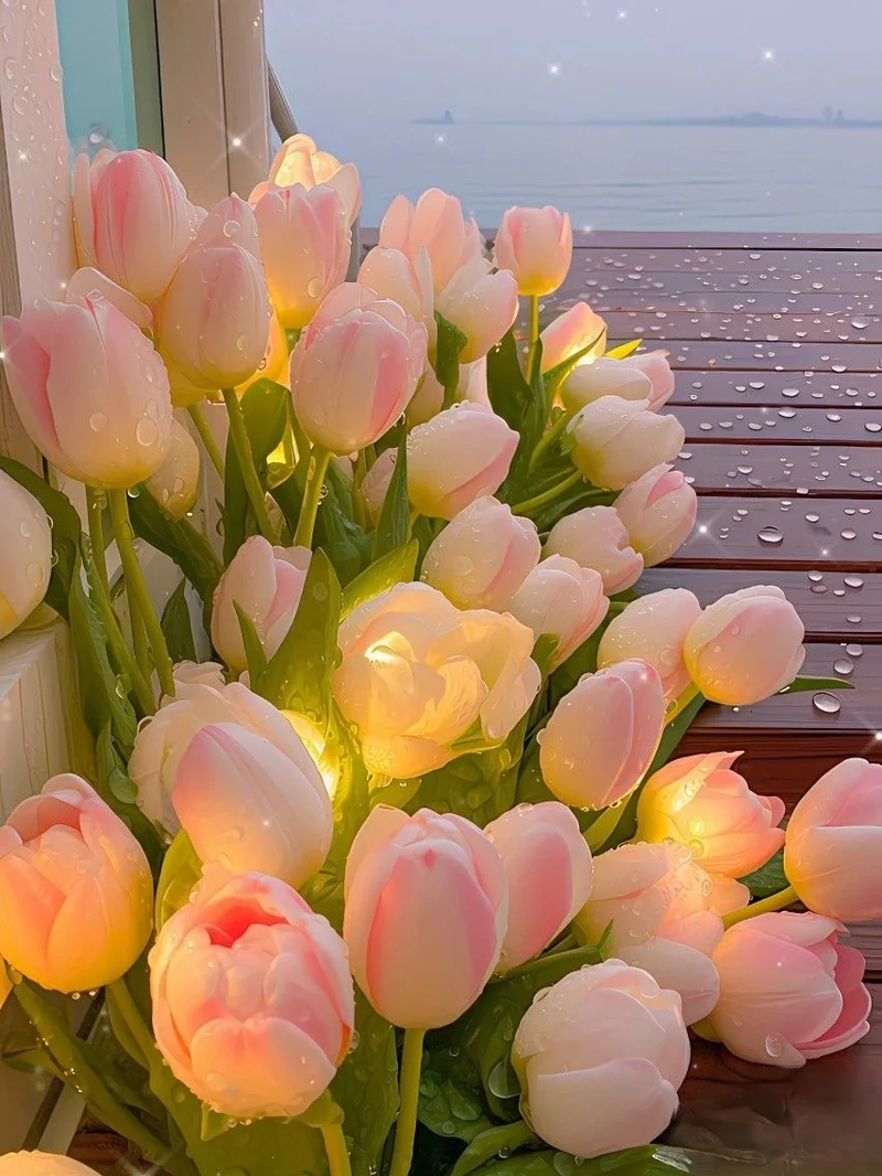Đắm mình trong không gian yên bình với hình ảnh hoa tulip chill