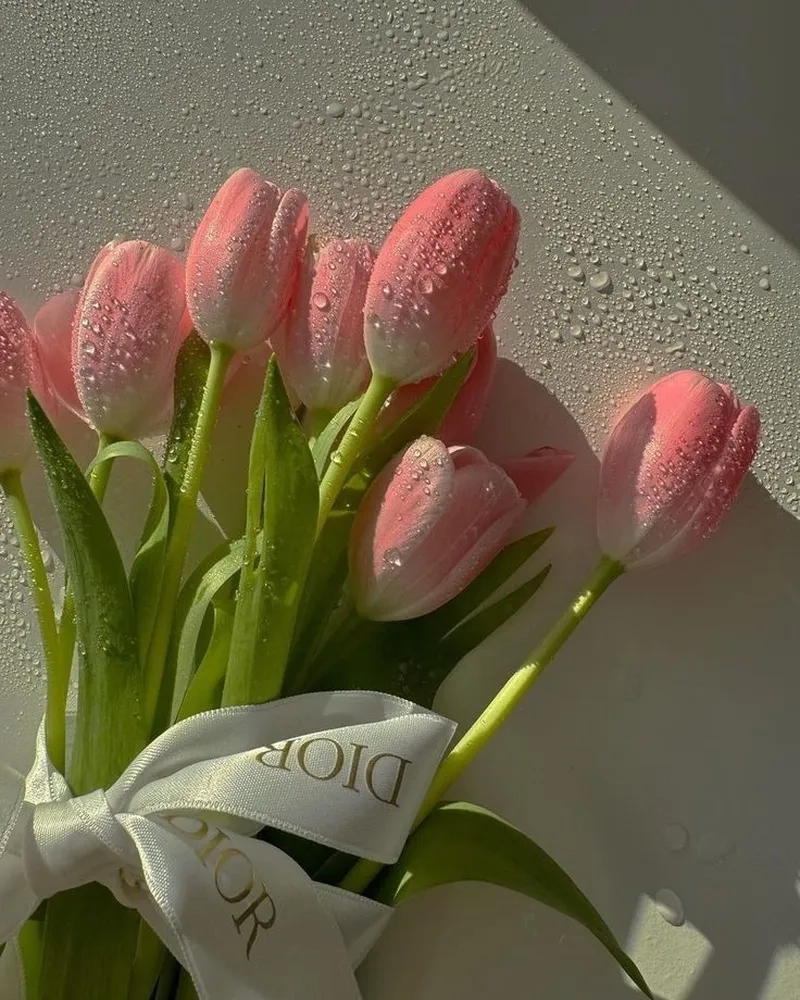 Khám phá ảnh hoa tulip sáng đầy sức sống cho ngày mới tràn đầy năng lượng