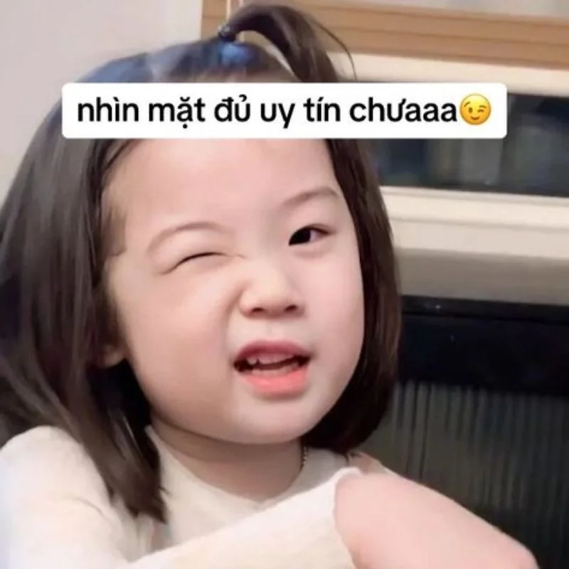 Cười té ghế với hình ảnh hài hình ảnh meme hài