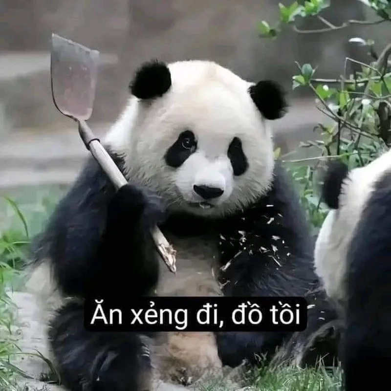 Bựa khó đỡ với ảnh chế meme hài bựa