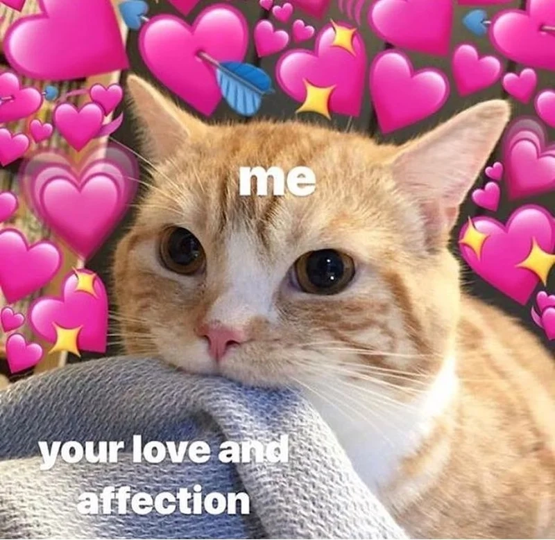 Gấp đôi sự đáng yêu với cute cute meme hài