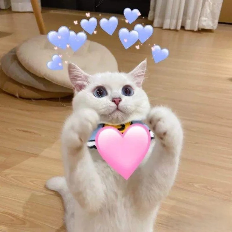 Tổng hợp meme hài hước nhất cực chất