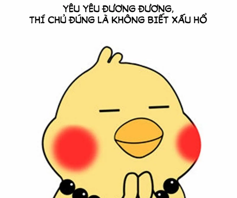 Meme hài dễ thương với cute meme hài