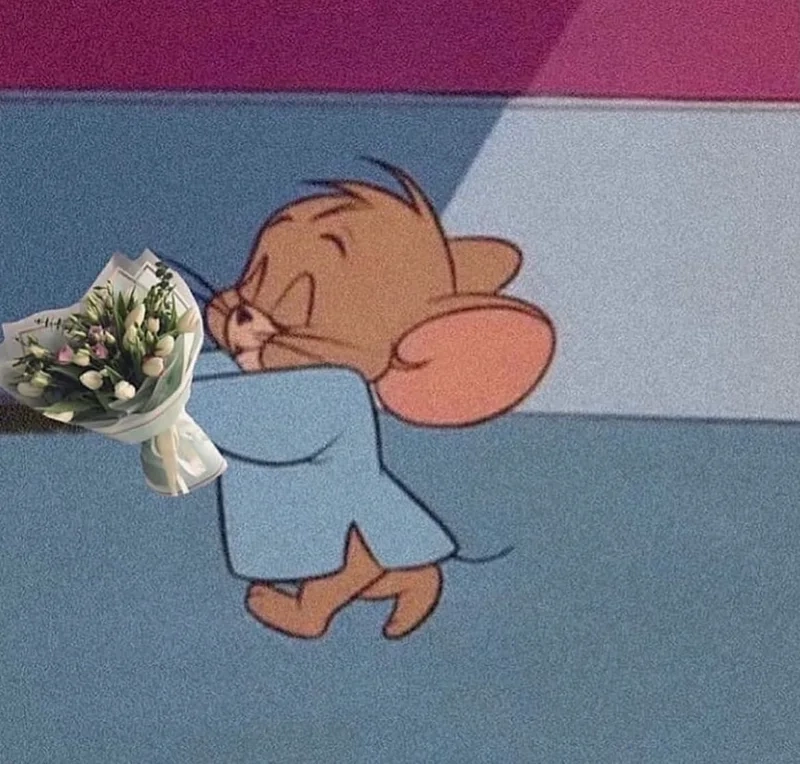 Hình chuột jerry meme là một trong những hình ảnh đáng yêu và hài hước nhất