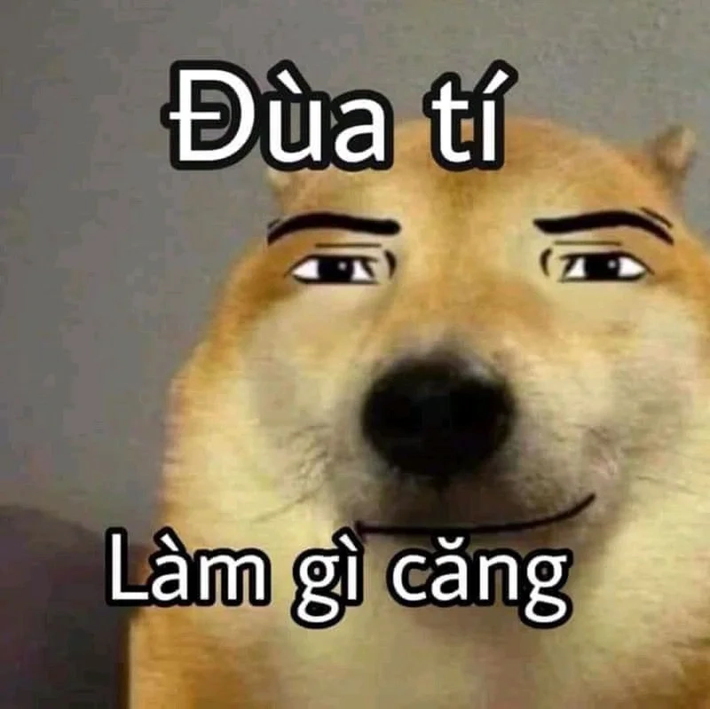 Vui nhộn mỗi ngày với hình ảnh meme hài hước