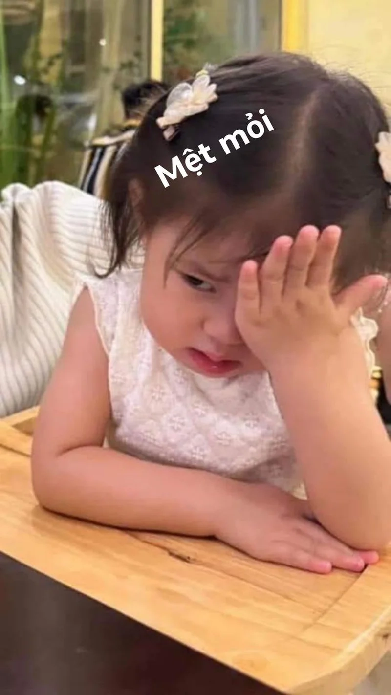 Cười cả ngày với hình nền meme hài hước