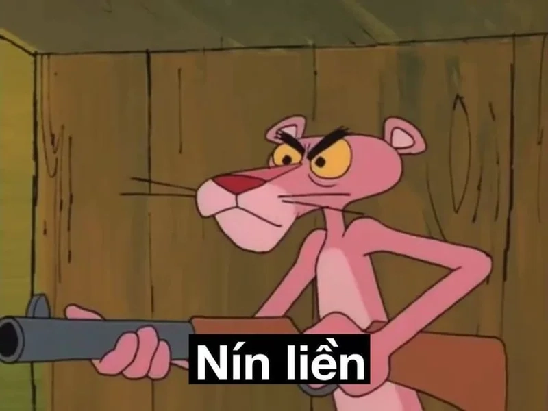 Kho tàng những meme hài hước đỉnh cao