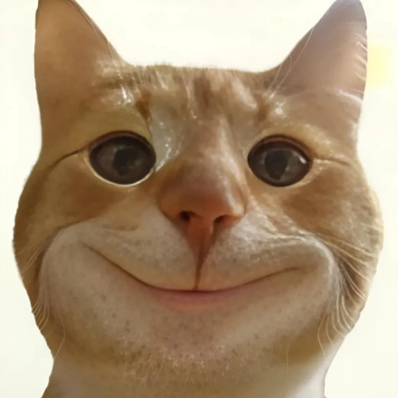 Biểu cảm cực troll với meme mèo cười đểu