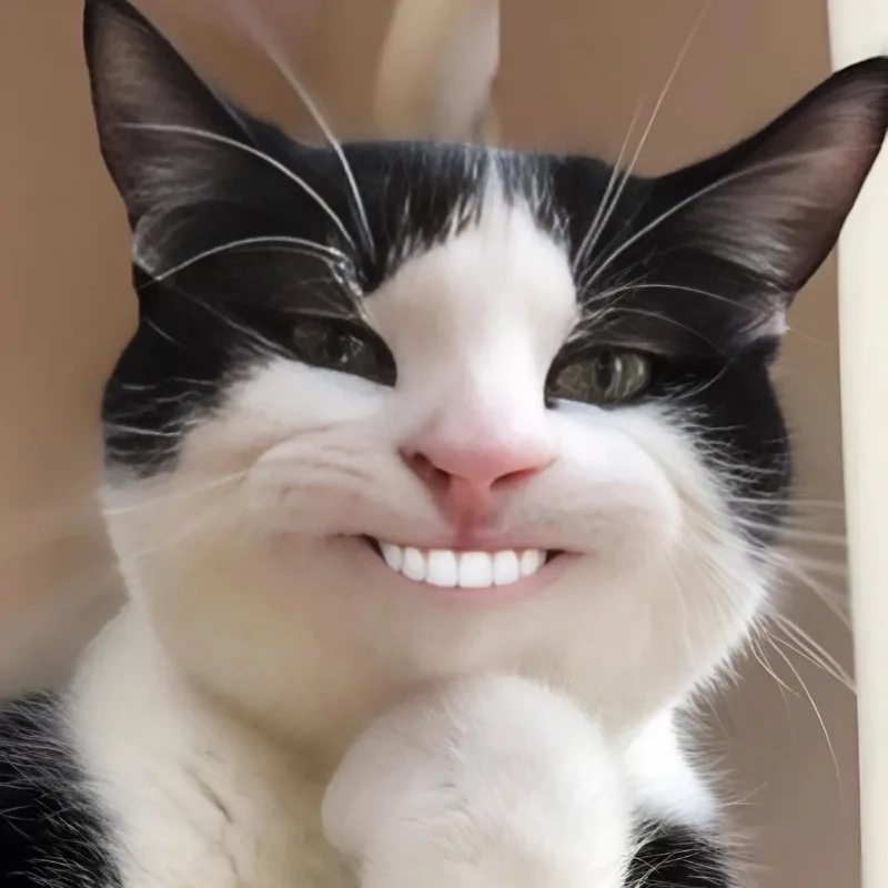 Mèo cười khoái chí với meme mèo cười nhe răng
