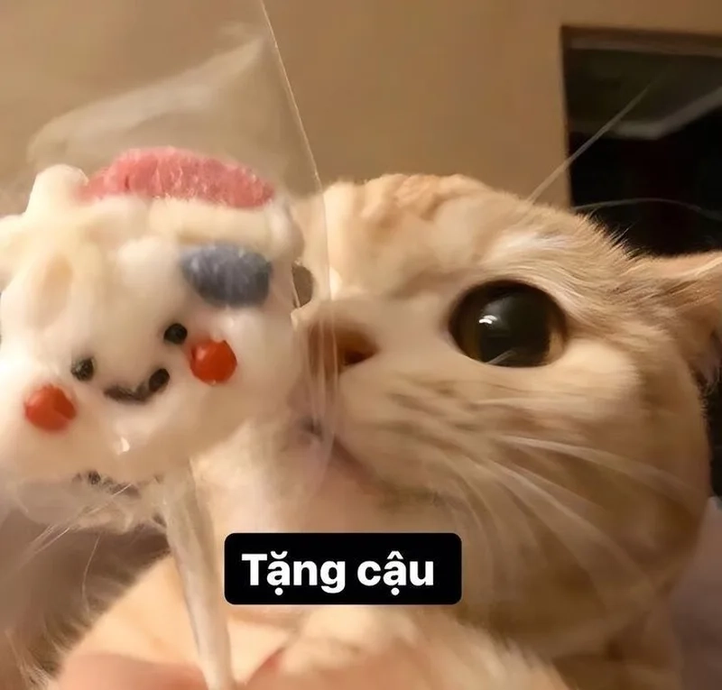 Mèo cười hớn hở với meme mèo cute cười