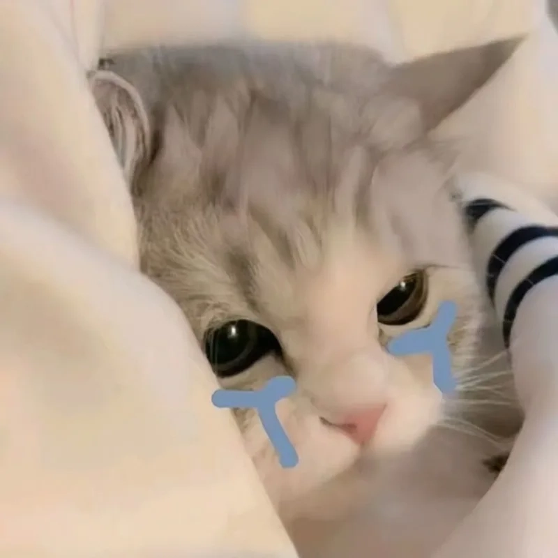 Mèo khóc nhưng vẫn dễ thương với ảnh mèo khóc meme