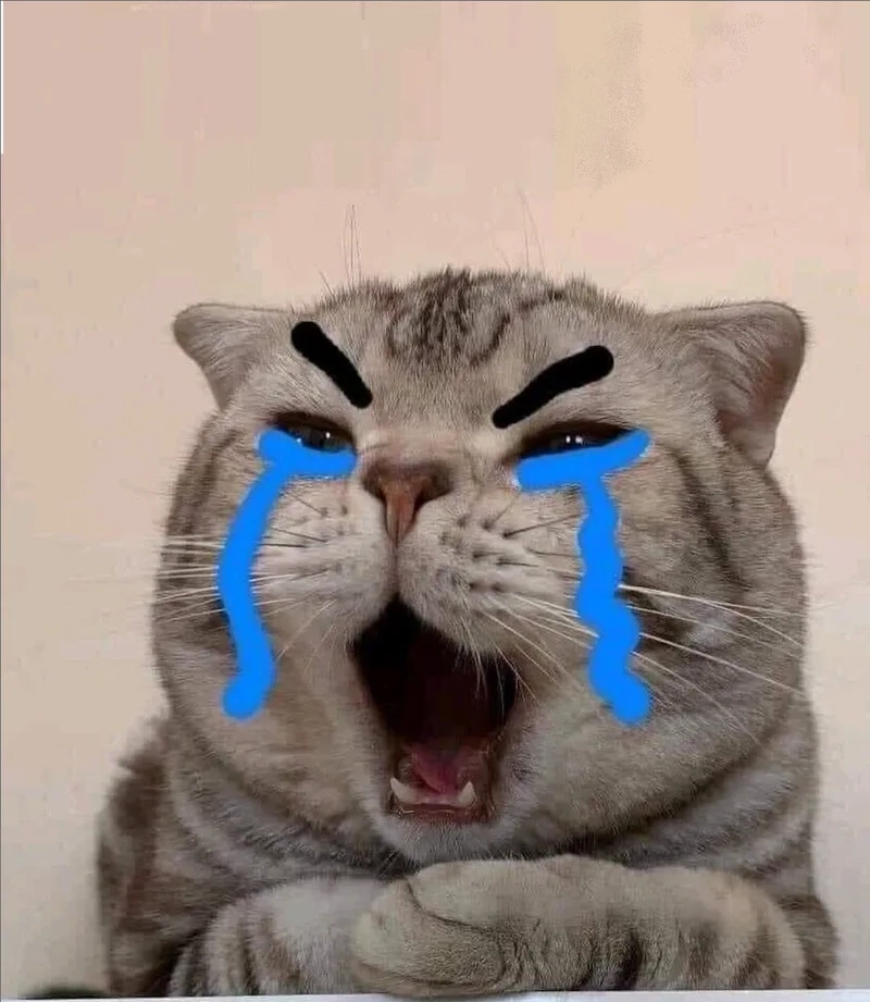 Like trong nước mắt với meme mèo khóc like