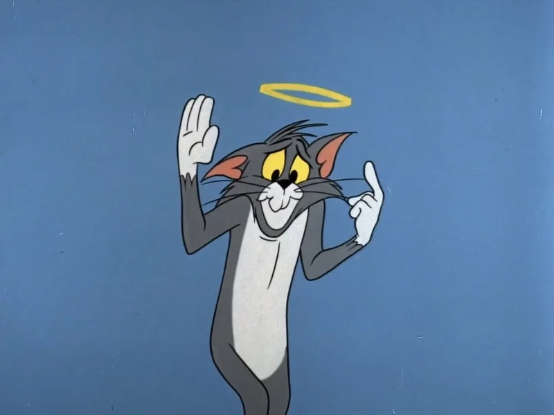 Những tom meme face sẽ khiến bạn không thể nhịn cười