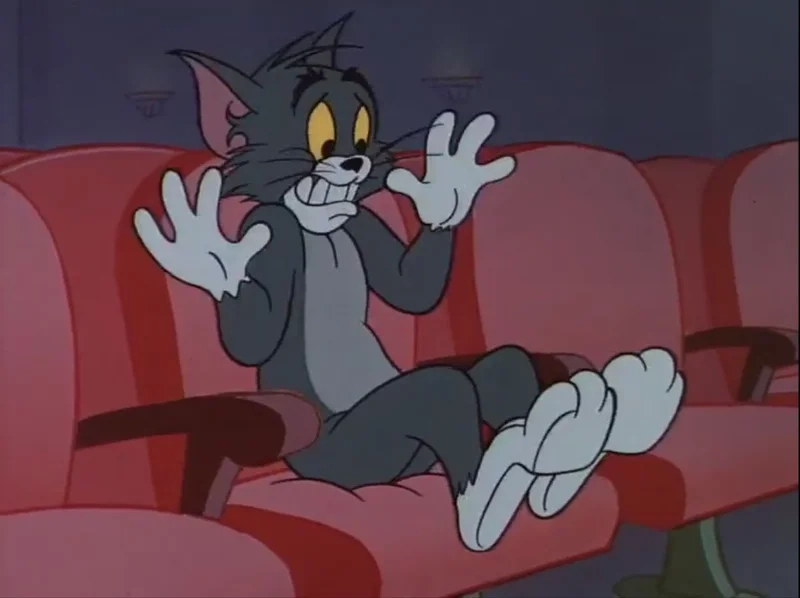 Ảnh mèo tom meme cực kỳ dễ thương và hài hước, không thể bỏ qua