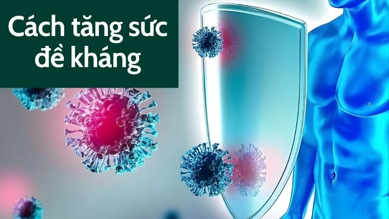 Bí quyết ăn uống giúp hệ miễn dịch vững vàng 