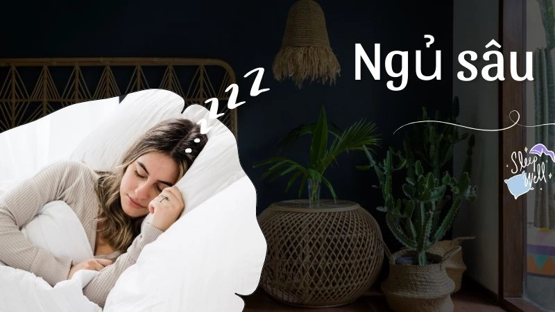 Ngủ sâu – “liều thuốc miễn phí” mạnh nhất