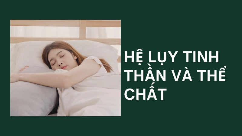 Biểu đồ so sánh hiệu suất làm việc giữa người ngủ đủ và thiếu ngủ