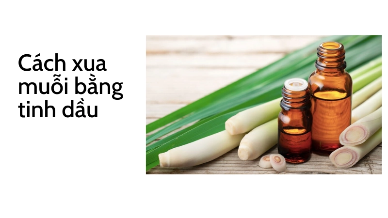 Cách đuổi muỗi bằng tinh dầu thơm tự nhiên